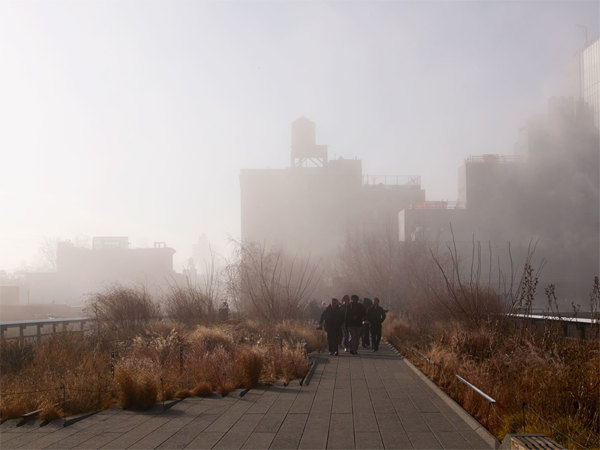 The High Line NYC - Photo by  Darran Rees