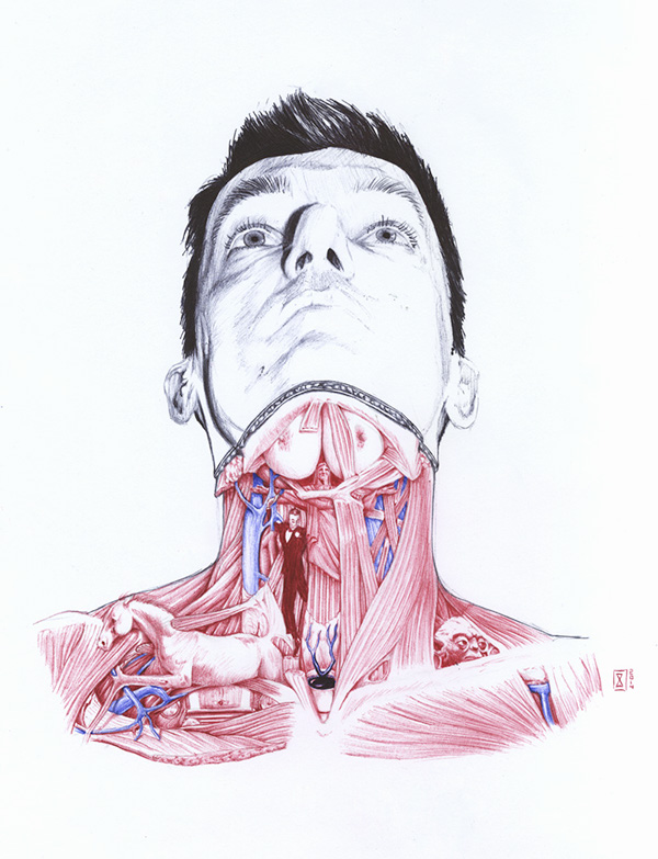 Anatomy of - Drawing by Salvatore Zanfrisco