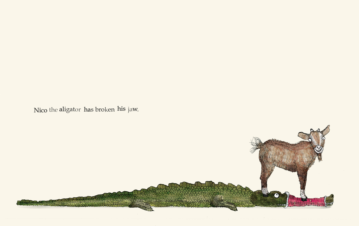 Nico the alligator has broken his jaw - Broken - Picture Book by Pieter van den Heuvel