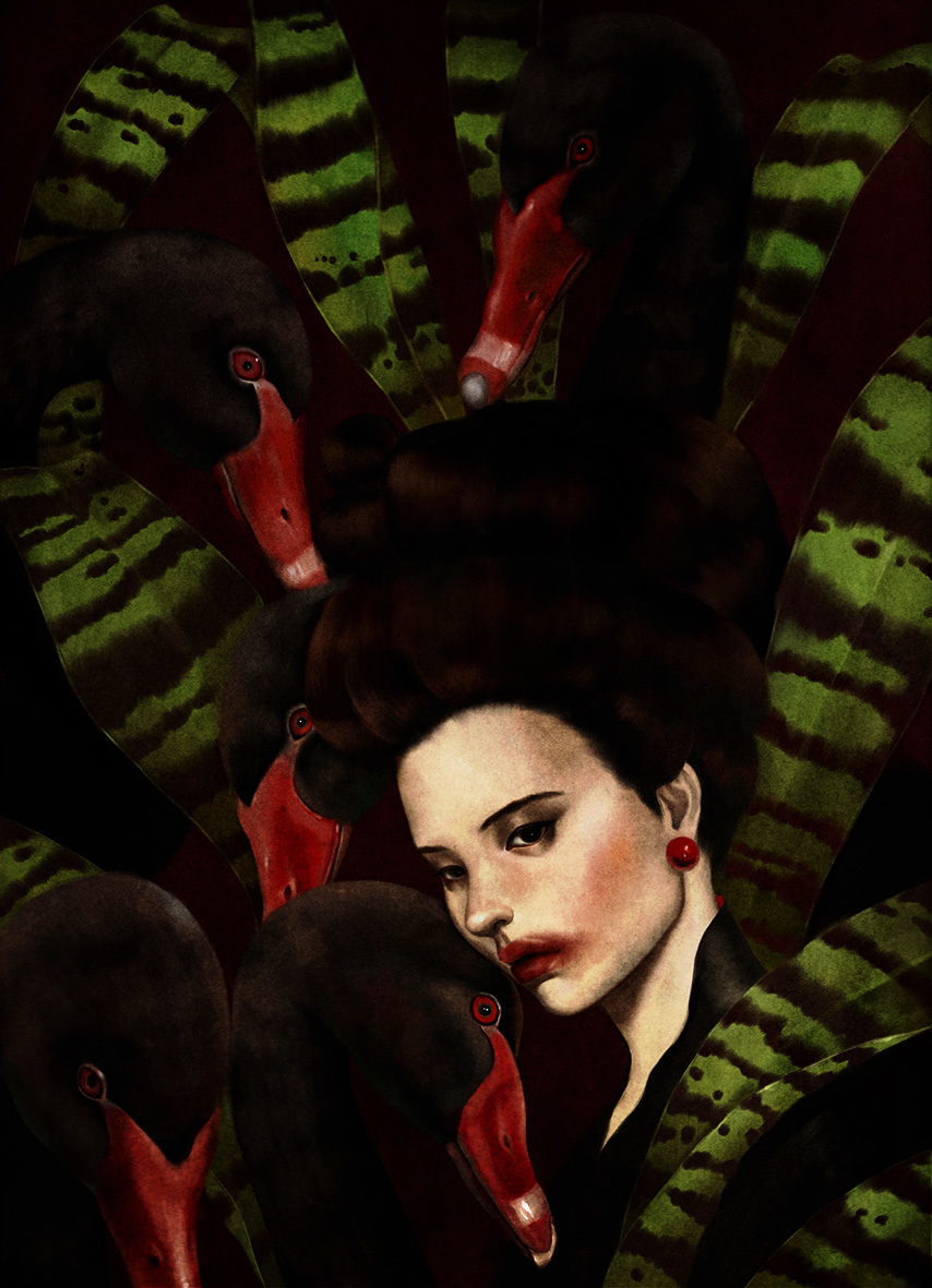 Black Swans and Girl - Illustration by Dani Soon