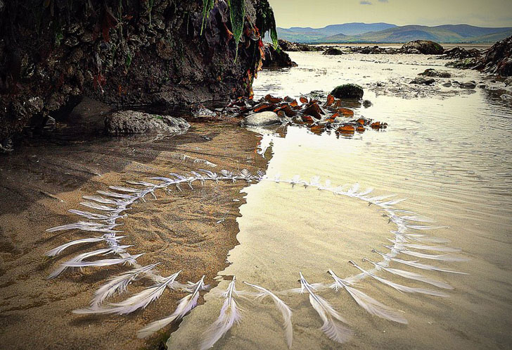 untitled feather ring - Land Art by Gerry Barry