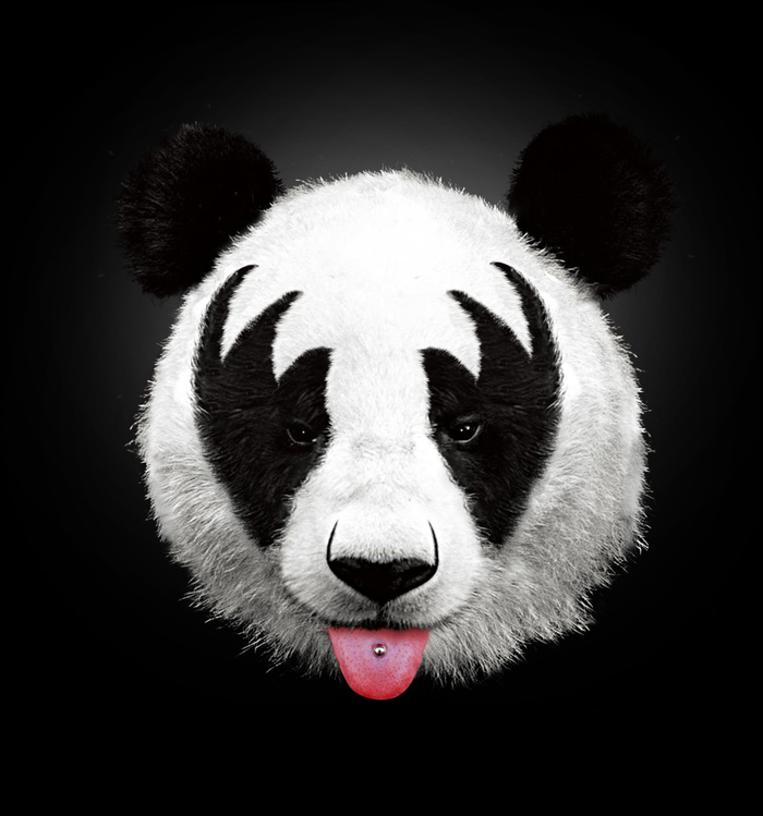 Kiss of a Panda by Robert Farkas