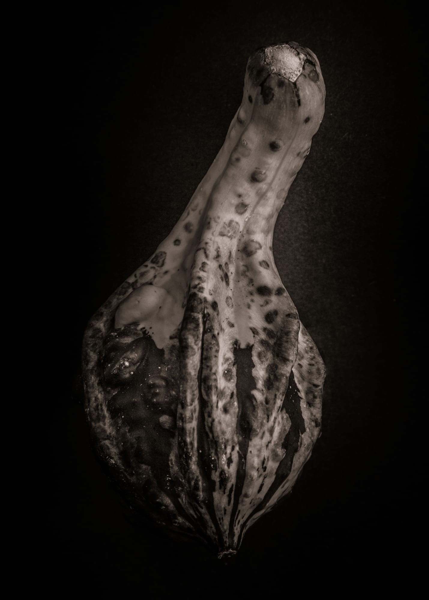 Gourds No 3 by The Learning Curve Photography