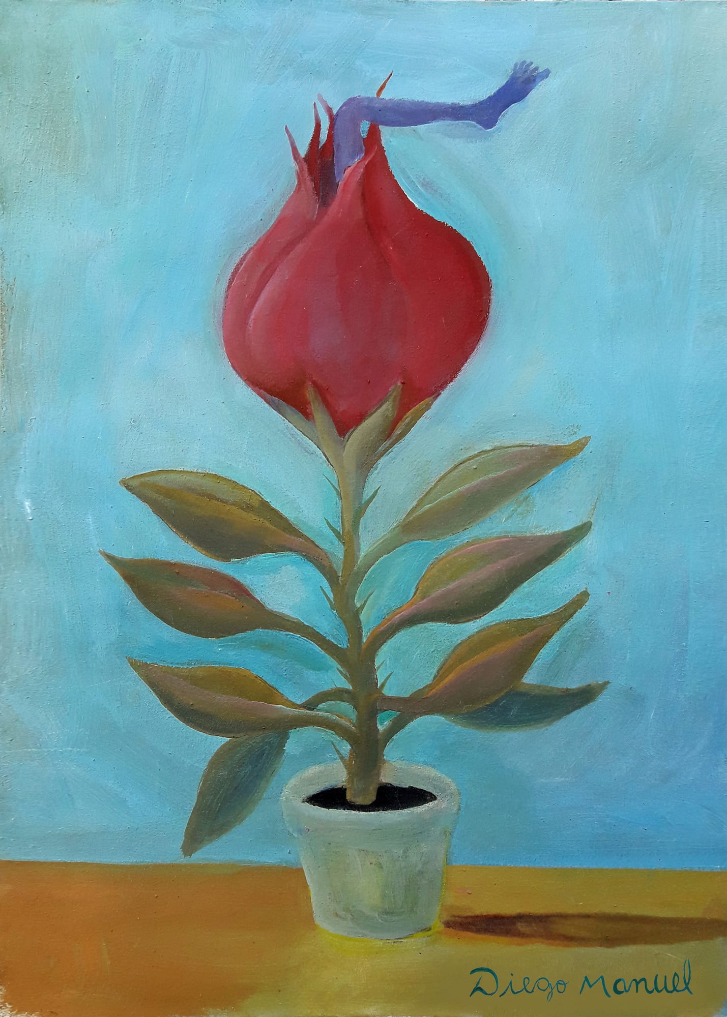Flor Carnivora by Diego Manuel Rodriguez